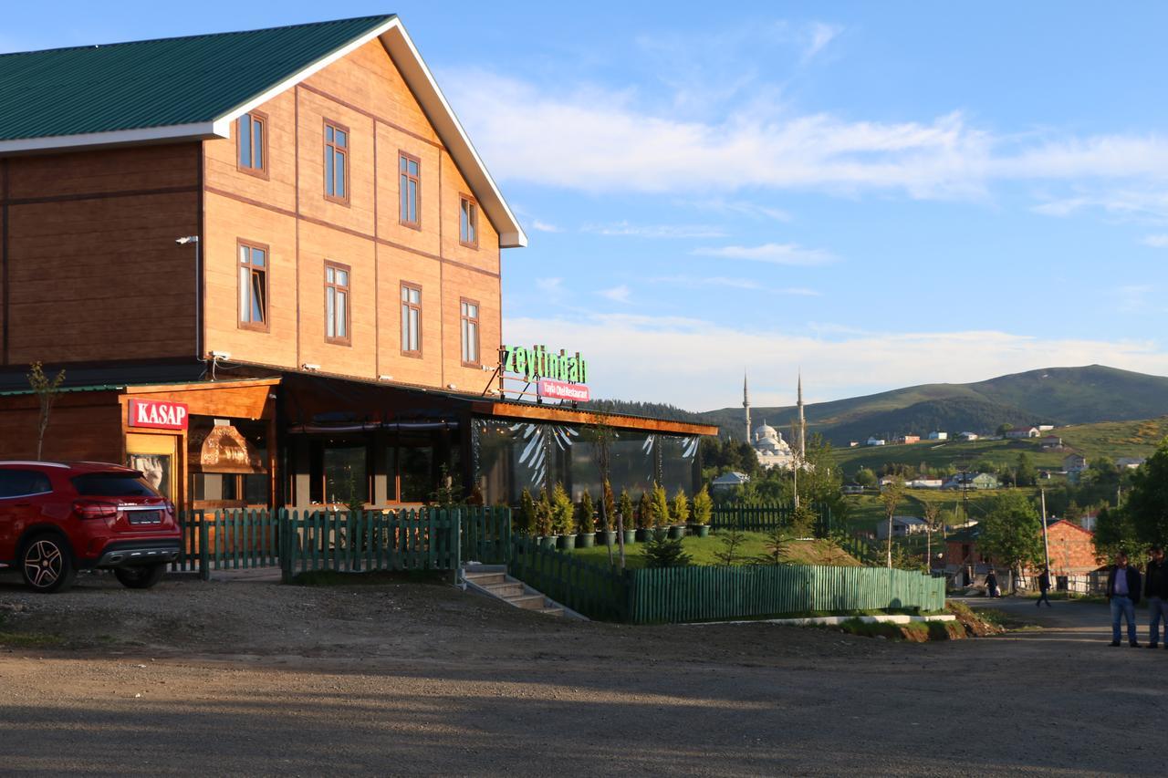 Zeytindali Yayla Hotel Akarsu  Экстерьер фото